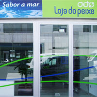 Decoração - Montras